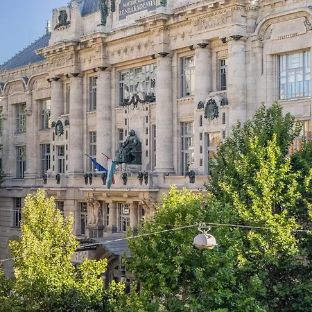 Bright Nest Liszt Academy *